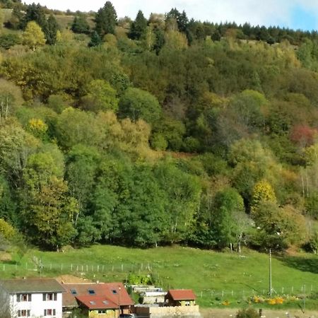 Les Lupins Bed & Breakfast Geishouse Luaran gambar