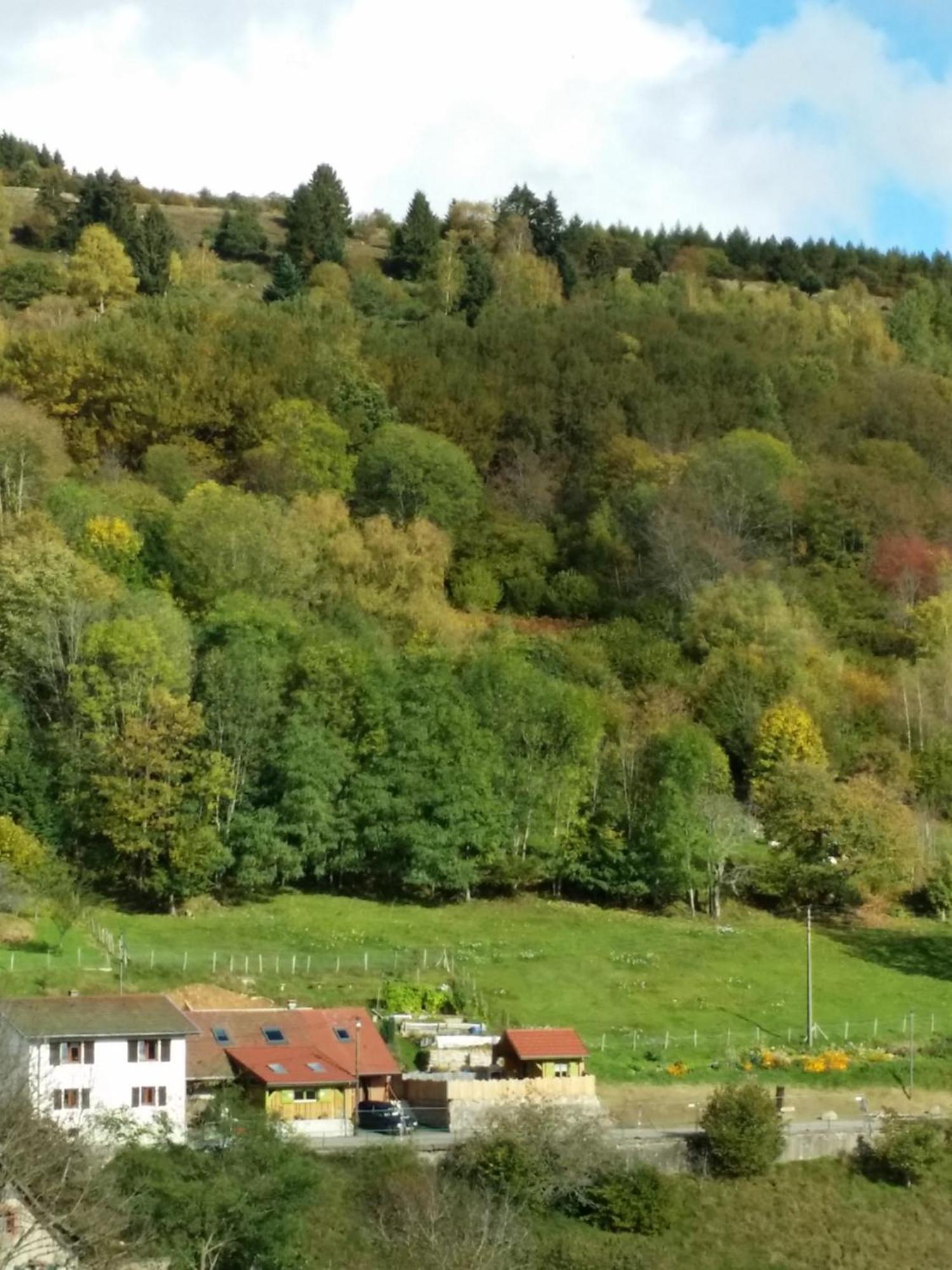 Les Lupins Bed & Breakfast Geishouse Luaran gambar